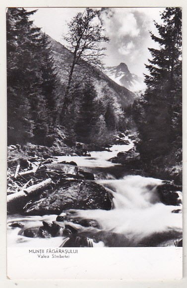 bnk cp Muntii Fagarasului - Valea Sambetei - uzata