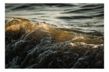 Tablou Canvas, "Valurile mării la apus de soare", Valuri, Apus, Spumă, Lumină, Ocean, Textură, Mișcare, 39 x 26 cm, CMCLASS