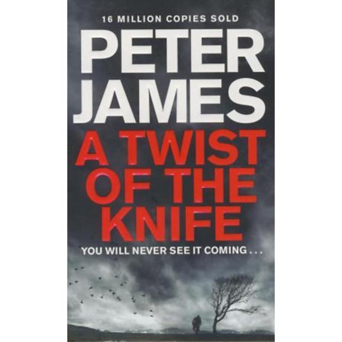 A Twist of the Knife - Peter James