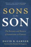 Sons in the Son: The Riches and Reach of Adoption in Christ