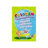 Animale sălbatice din savană. Desene mari pentru cei mici rom&acirc;nă-engleză - Paperback - Eurobookids