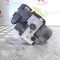 icon 4