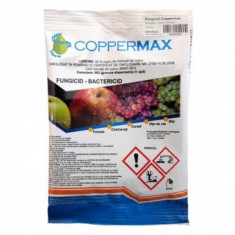 Fungicid - Coppermax 30gr foto