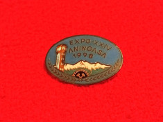 Insigna minerit - EXPO-XXIV Colectionari Insigne-ANINOASA 1998 foto