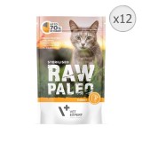 Hrana umeda pentru pisici Raw Paleo, Sterilized, Curcan, 12 x 100 g, VET EXPERT