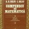 Compendiu De Matematica. Algebra Si Geometrie - A. E. Beju, I. Beju