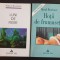 Luni de fiere / Hoții de frumusețe - Pascal Bruckner (2 titluri)