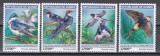 Guineea 2019 - Păsări, MNH