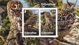 GIBRALTAR 2020 FAUNA PASARI BUFNITE, Nestampilat