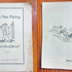 E57-Nea NAE PIPIRIG-Giumbuslacuri 1905-carte veche Timisoara-Cartea Romaneasca.