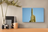 Tablou Canvas, "Dansul cactușilor sub cerul senin", Cactus, Cer, Verde, Natural, Spini, Coloane, Desert, Solemnitate, Arid, Vegetație, 39 x 26 cm, CMC