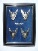ROMANIA - PANOU CU SET COMPLET DE INSIGNE AVIATIE - PILOT CL1,2,3, FARA CLASA, MODEL 1977 , IM 1.186