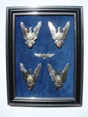 ROMANIA - PANOU CU SET COMPLET DE INSIGNE AVIATIE - PILOT CL1,2,3, FARA CLASA, MODEL 1977 , IM 1.186