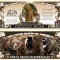 !!! SUA = FANTASY NOTE (TJ6) = URSUL GRIZZLY - 2014 - UNC