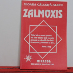 Mioara Calusita Alecu - ZALMOXIS - TEZAURUL ROMANILOR - Editura MIRACOL