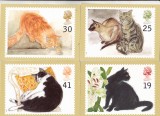 bnk cp Pisici - lot 5 carti postale *