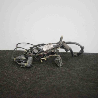 Set senzor de parcare spate AUDI A8 D3 4E2, 4E8 2009 OEM: 4E0971104AN 2740703 foto