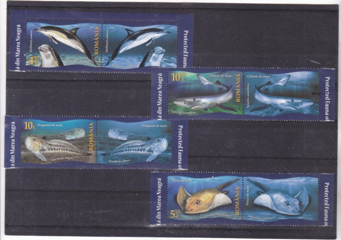 ROMANIA 2022 - FAUNA PROTEJATA DIN MAREA NEAGRA, MNH + VINIETA 3 - LP 2366