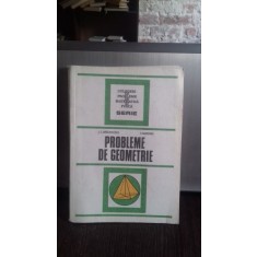 PROBLEME DE GEOMETRIE - I.C. DRAGHICESCU