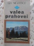 VALEA PRAHOVEI-GH. NICULESCU