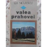 VALEA PRAHOVEI-GH. NICULESCU-217286