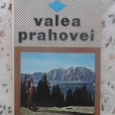 VALEA PRAHOVEI-GH. NICULESCU