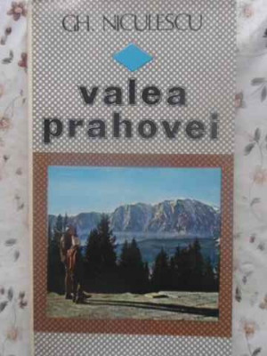 VALEA PRAHOVEI-GH. NICULESCU foto