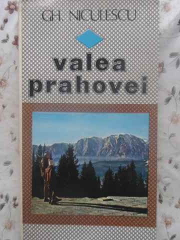 VALEA PRAHOVEI-GH. NICULESCU-217286