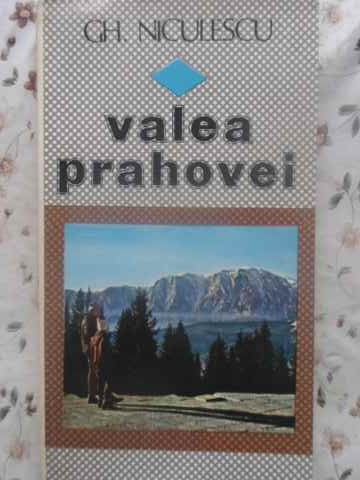 VALEA PRAHOVEI-GH. NICULESCU