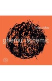 Ghemul ischemic - Ioan Cioba