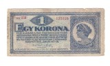 Bancnota Ungaria 1 korona/coroana 1 ianuarie 1920, uzata