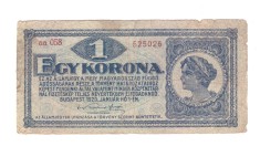 Bancnota Ungaria 1 korona/coroana 1 ianuarie 1920, uzata