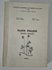 Iacob Teodor Plante furajere Lucrari practice Facultatea de Agronomie Iasi