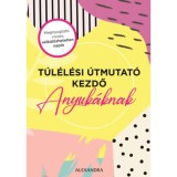 T&uacute;l&eacute;l&eacute;si &uacute;tmutat&oacute; kezdő anyuk&aacute;knak - Amy Ransom