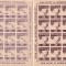 Romania 1946, LP 199 a, OSP, sport, dantelat + nedantelat, coli de 16, MNH