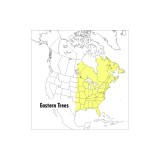 A Field Guide to Eastern Trees: Eastern United States and Canada, Including the Midwest