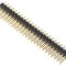 Şir Pini 48PIN 2.54mm THT 2x24 Aurit