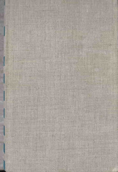DICTIONAR ITALIAN - ROMAN-NINA FACON SI COLAB.-255274