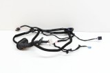 Cablaj ușă dreapta spate TESLA MODEL 3 2020 OEM: 3067966-00-A 13823888