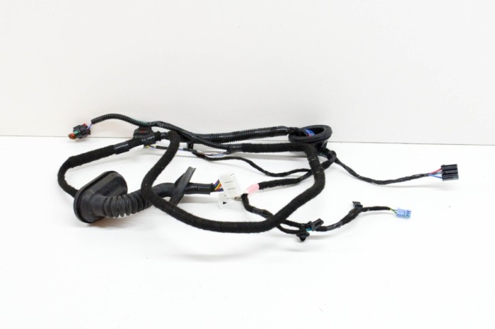 Cablaj ușă dreapta spate TESLA MODEL 3 2020 OEM: 3067966-00-A 13823888