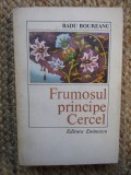 Radu Boureanu - Frumosul principe Cercel