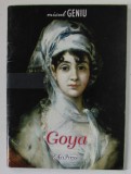 MICUL GENIU , FRANCISCO DE GOYA , 2009