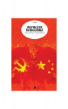 Revoluții &icirc;n oglindă - Paperback brosat - Perry Anderson, Wang Chaohua - Tact