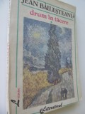 Drum in tacere - Jean Bailesteanu