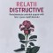 Relatii Distructive - Avery Neal , A849