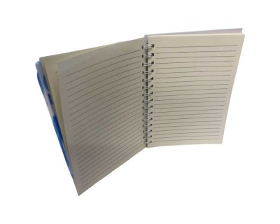 Agenda - jurnal Pop it ursulet albastru foto