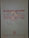 REZOLUTIA PLENAREI