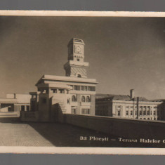 CPIB 20942 CARTE POSTALA - PLOIESTI. TERASA HALELOR CENTRALE