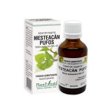 Cumpara ieftin Extract din muguri de Mesteacan Pufos, 50 ml, Plant Extrakt