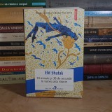 ELIF SHAFAK - 10 MINUTE SI 38 DE SECUNDE IN LUMEA ASTA STRANIE ( ROMAN ) , POLIROM , 2022 *